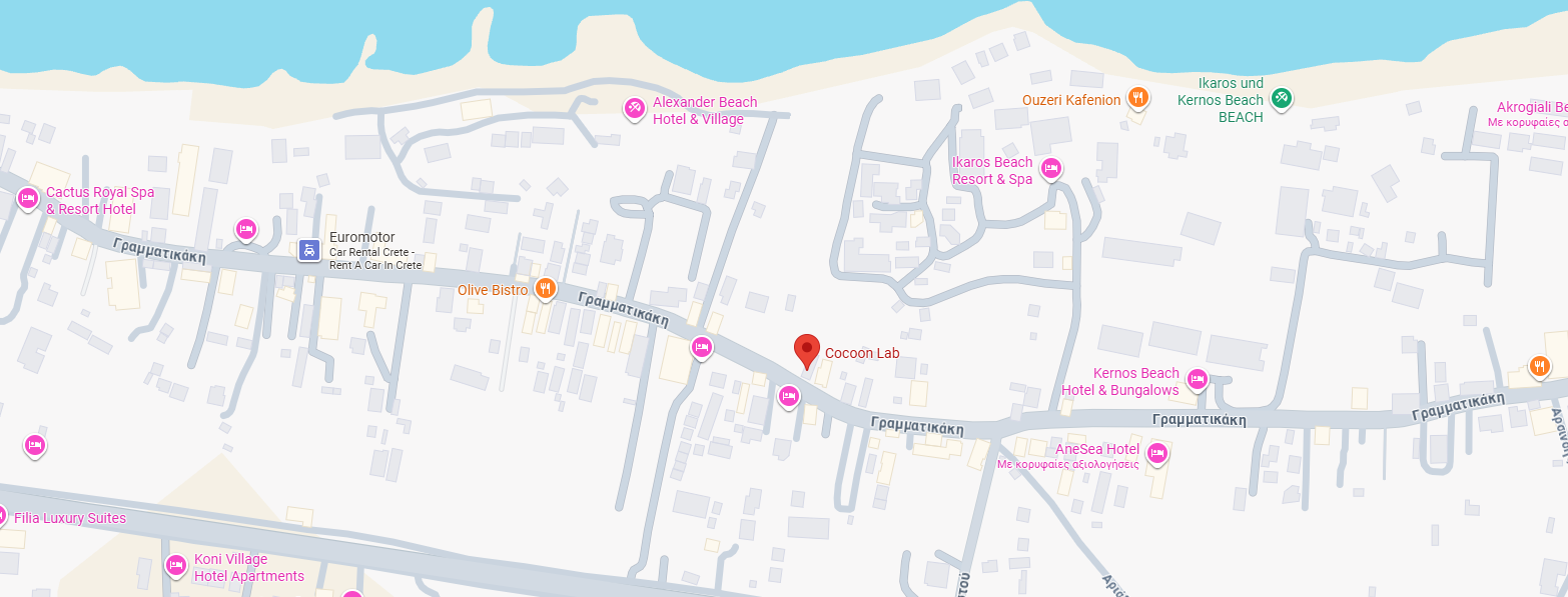 Open location in Google Maps