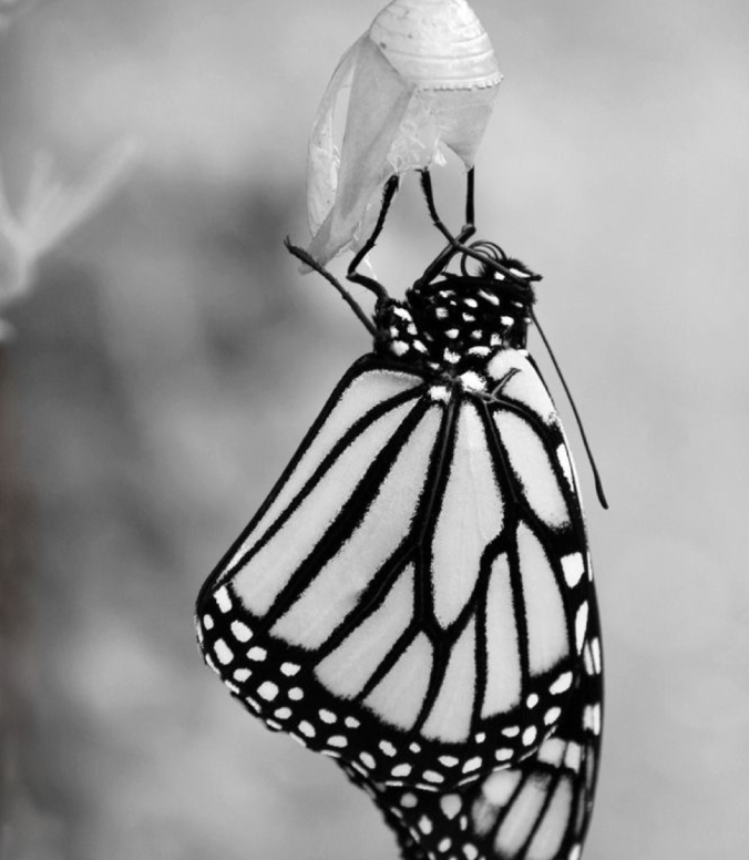 &Lambda;ί&gamma;&alpha; &Lambda;ό&gamma;&iota;&alpha; &gamma;&iota;&alpha; &epsilon;&mu;ά&sigmaf;